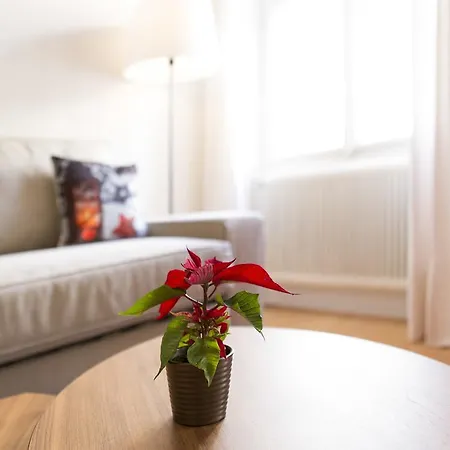 Apartamento Next2mozart-apartment